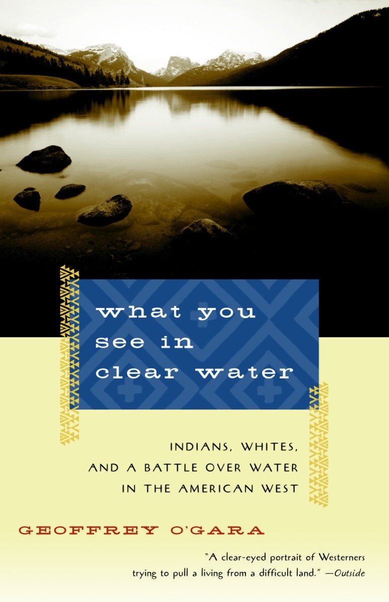 What You See in Clear Water-Society/ culture/ social sciences-買書書 BuyBookBook