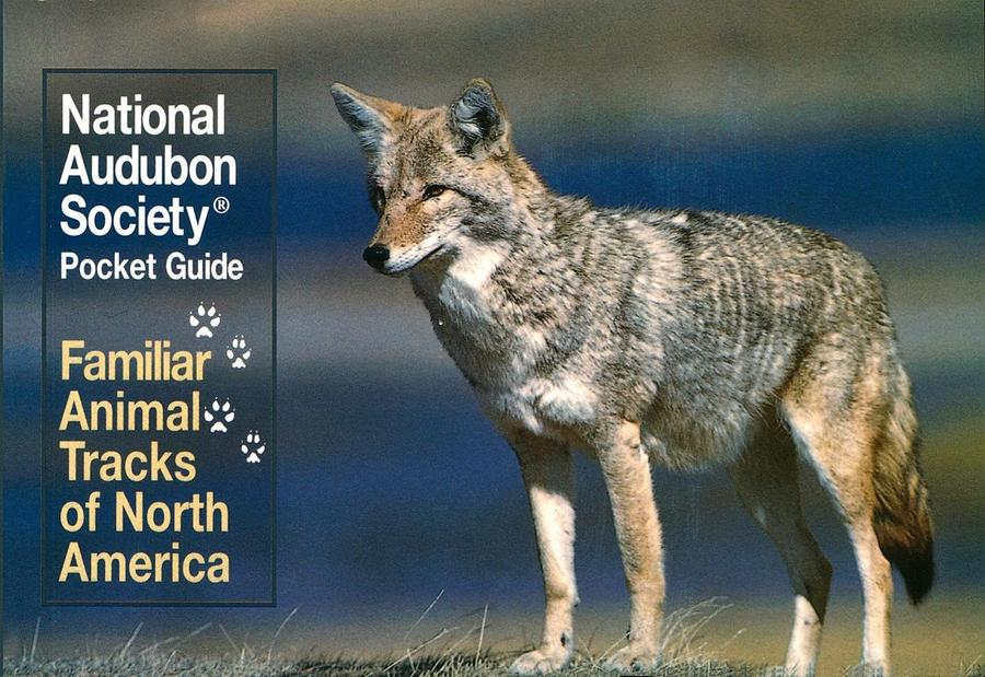 National Audubon Society Pocket Guide: Familiar Animal Tracks of North America-Nature and the natural world: general interest-買書書 BuyBookBook