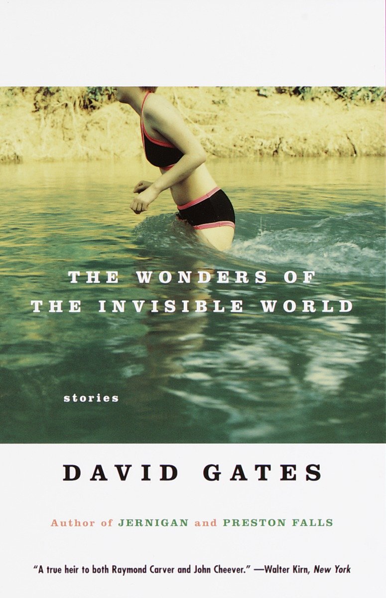 The Wonders of the Invisible World-Fiction: Short stories and other special features-買書書 BuyBookBook