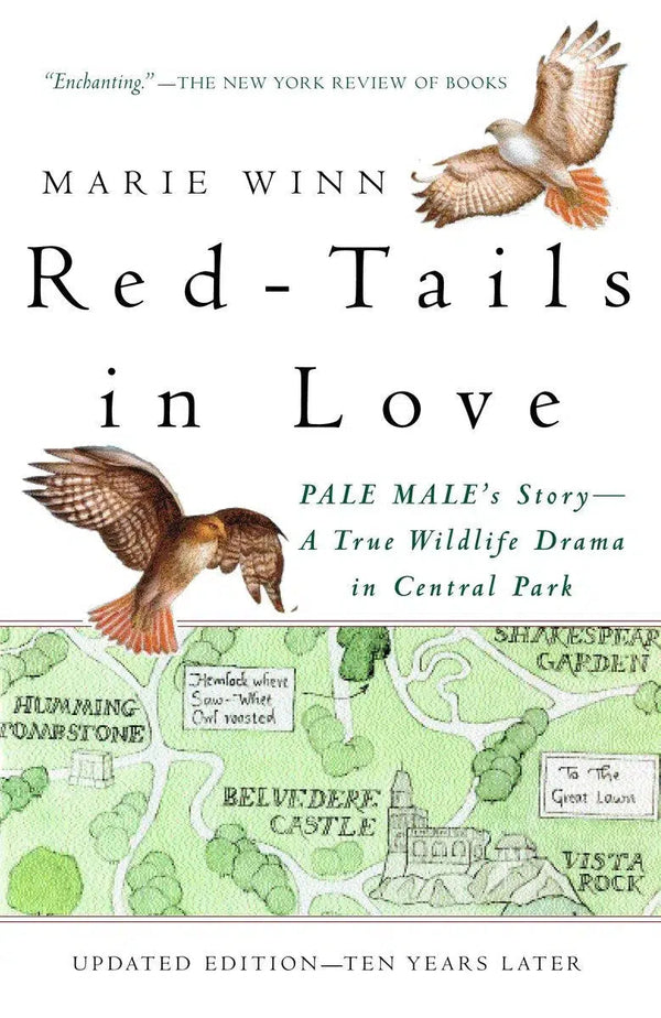 Red-Tails in Love-Nature and the natural world: general interest-買書書 BuyBookBook