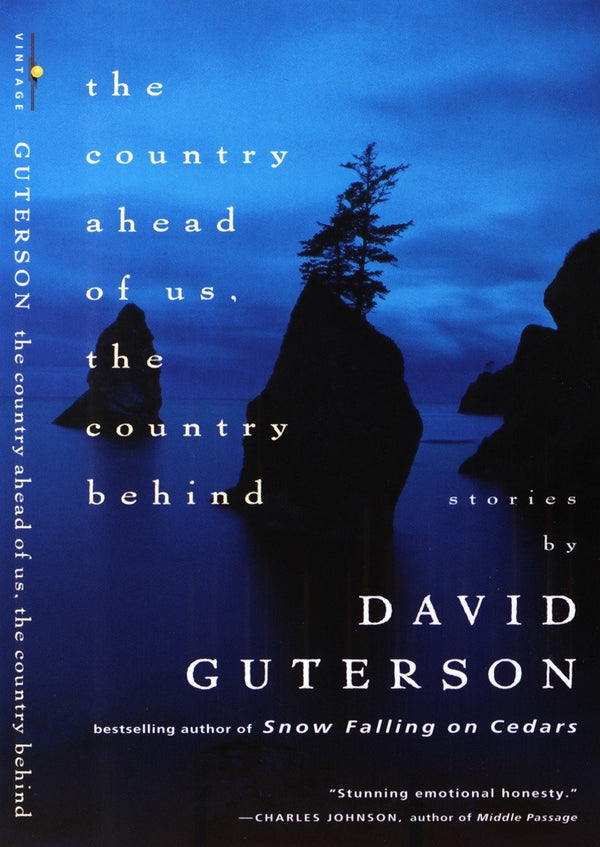 The Country Ahead of Us, The Country Behind-Fiction: Short stories and other special features-買書書 BuyBookBook