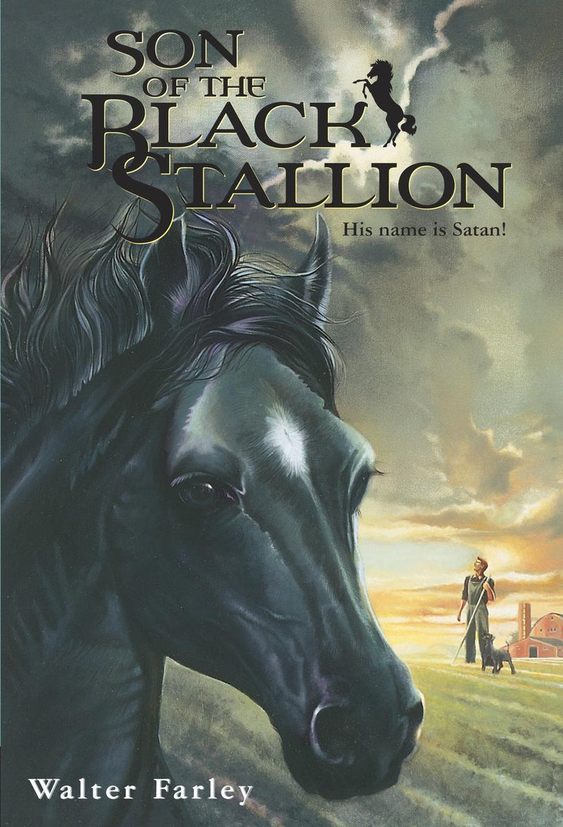 Son of the Black Stallion-Children’s / Teenage fiction: Nature and animal stories-買書書 BuyBookBook