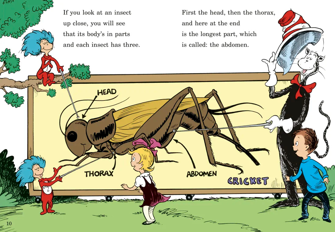 On Beyond Bugs! All About Insects US - Hardback (9780593814161)