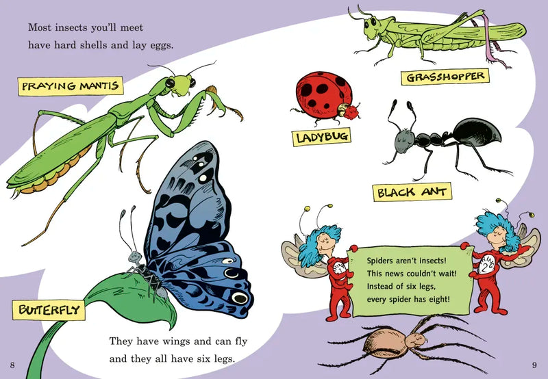 On Beyond Bugs! All About Insects US - Hardback (9780679873037)