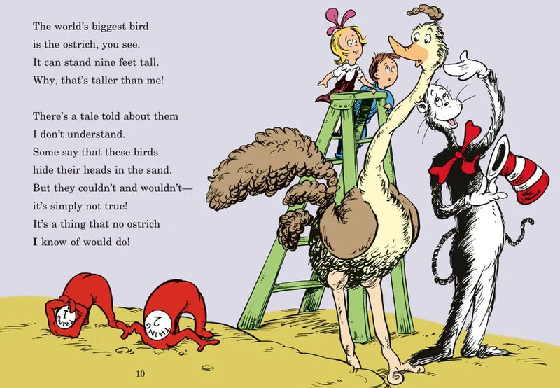 Fine Feathered Friends: All About Birds US - Hardback (9780679883623)