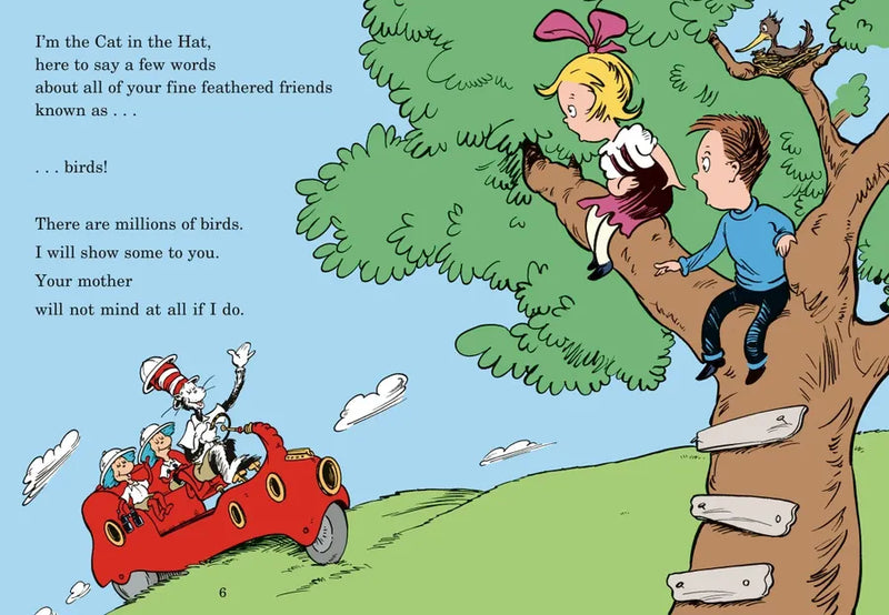 Fine Feathered Friends: All About Birds US - Hardback (9780679883623)