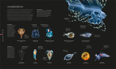 Oceanology US - Hardback