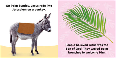 Baby's First Easter US - Board book