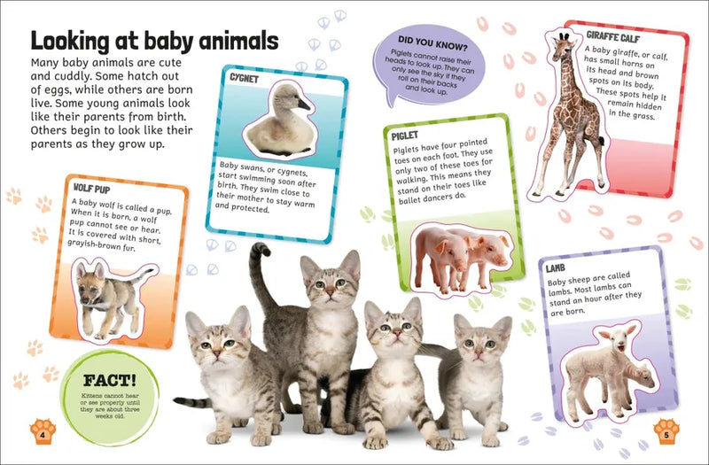 Sticker Encyclopedia Baby Animals US - Paperback / softback