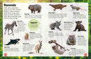 Sticker Encyclopedia Baby Animals US - Paperback / softback
