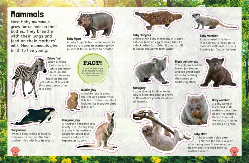 Sticker Encyclopedia Baby Animals US - Paperback / softback