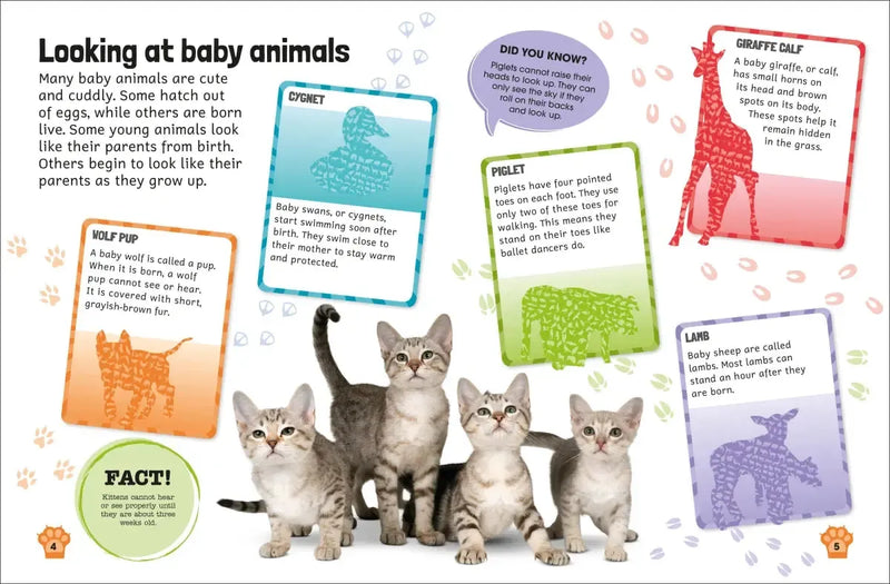 Sticker Encyclopedia Baby Animals US - Paperback / softback