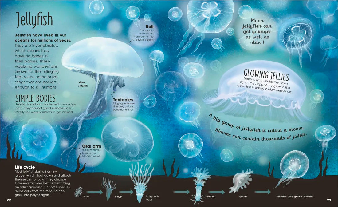 Earth's Incredible Oceans US - Hardback