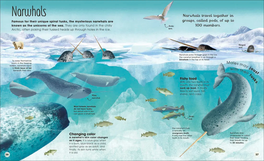 Earth's Incredible Oceans US - Hardback