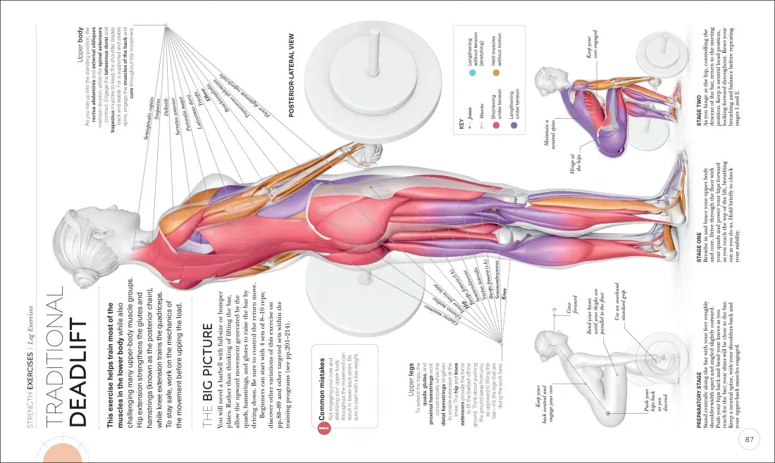 Science of Strength Training US - Paperback / softback