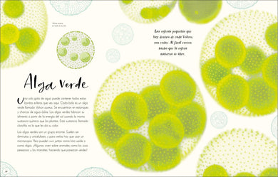 Maravillas naturales (The Wonders of Nature) US - Hardback