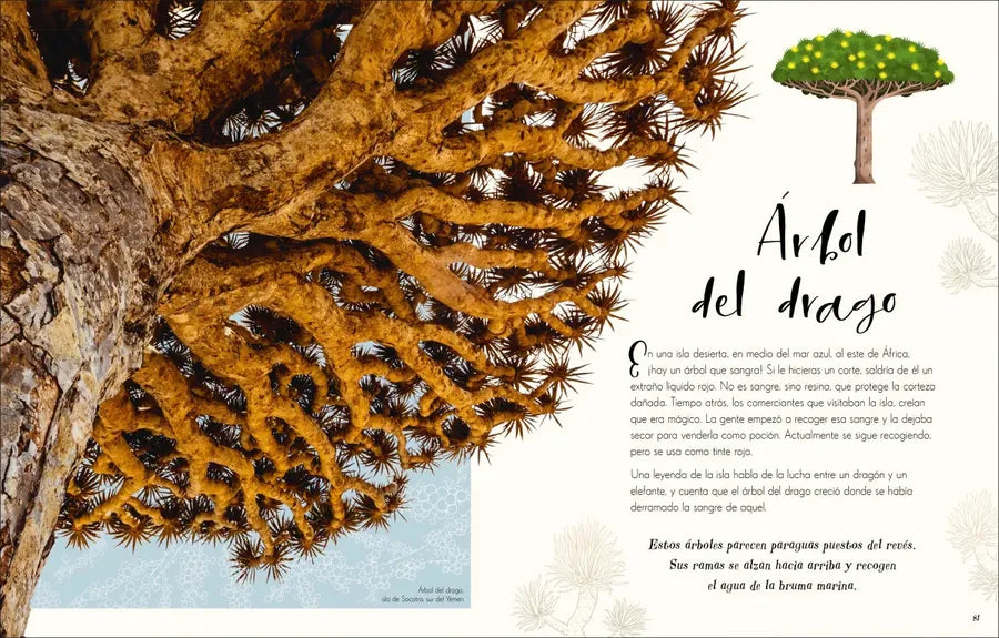 Maravillas naturales (The Wonders of Nature) US - Hardback