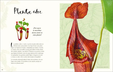 Maravillas naturales (The Wonders of Nature) US - Hardback