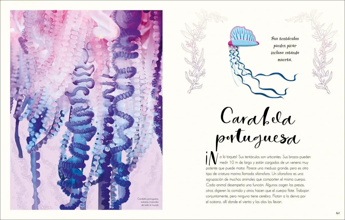 Maravillas naturales (The Wonders of Nature) US - Hardback