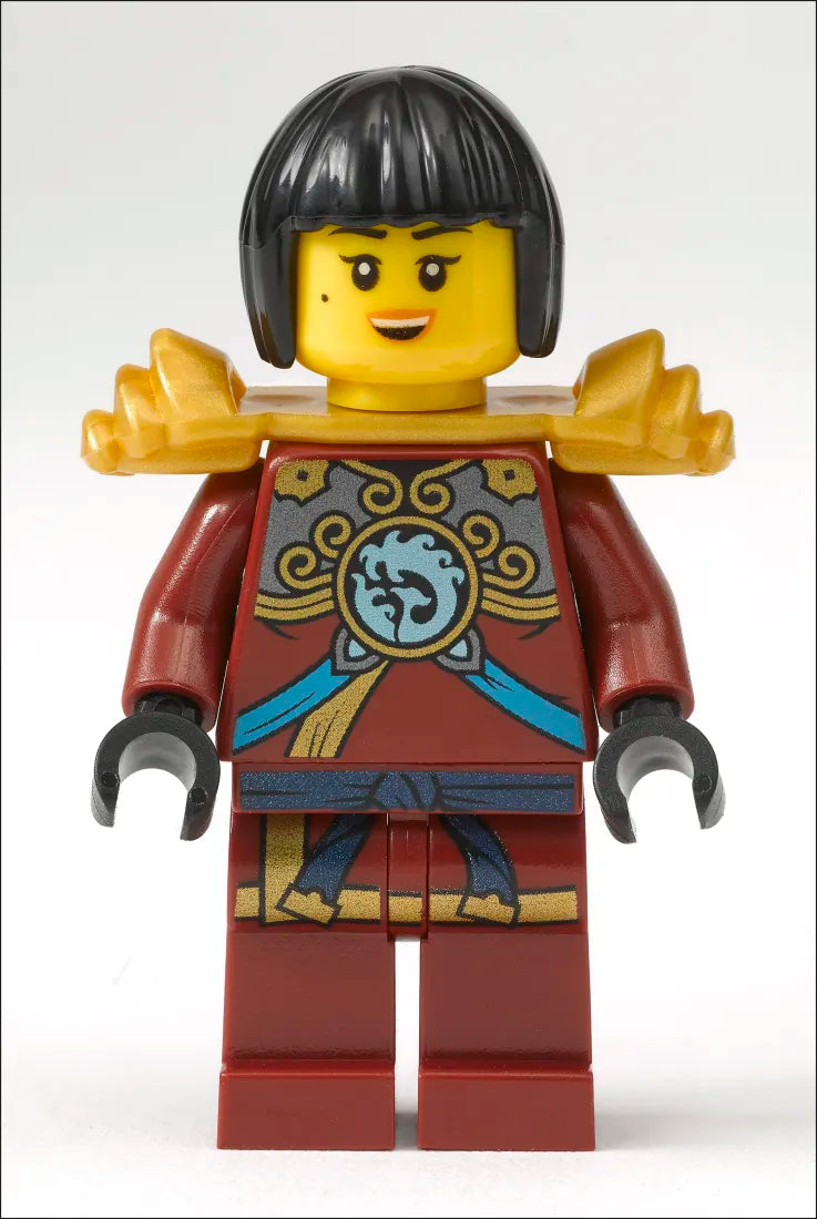 LEGO NINJAGO Character Encyclopedia New Edition US - Multiple-component retail product
