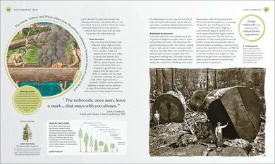 The Tree Book US - Hardback