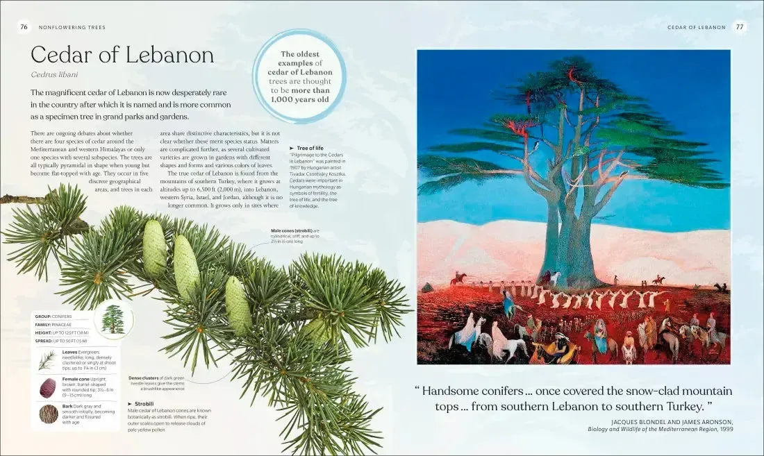 The Tree Book US - Hardback