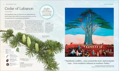 The Tree Book US - Hardback