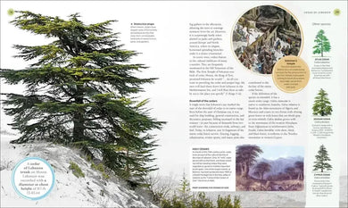 The Tree Book US - Hardback