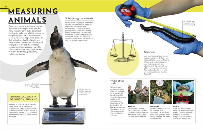 Behind the Scenes at the Zoo US - Hardback