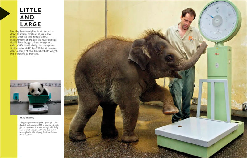 Behind the Scenes at the Zoo US - Hardback