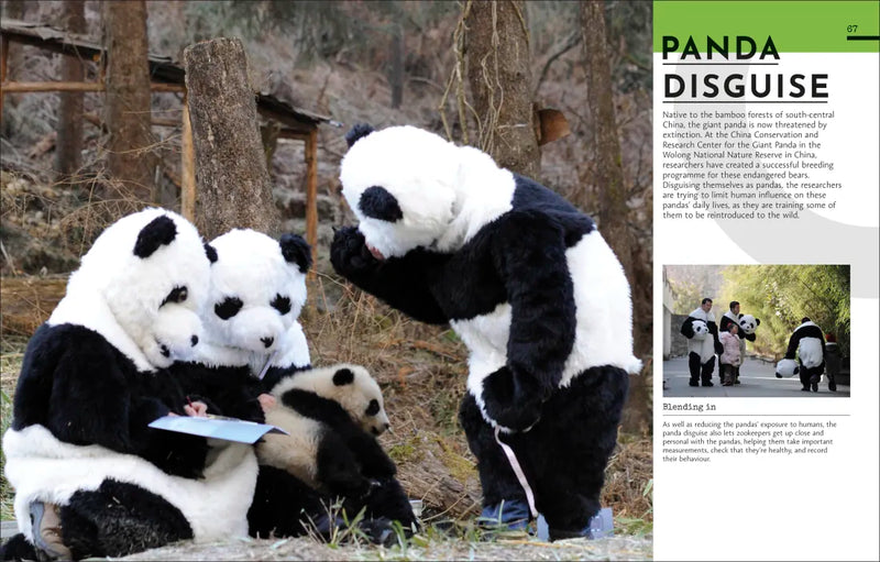 Behind the Scenes at the Zoo US - Hardback