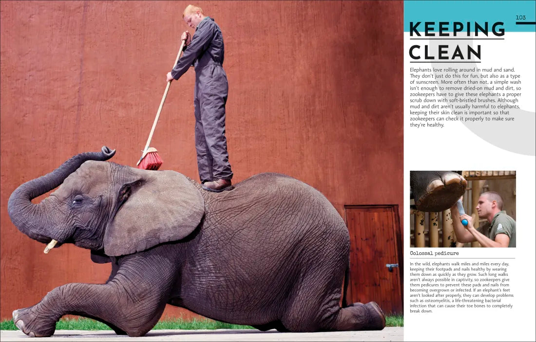 Behind the Scenes at the Zoo US - Hardback