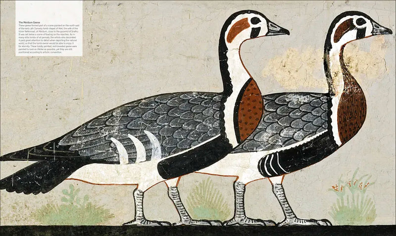 Ancient Egypt US - Hardback