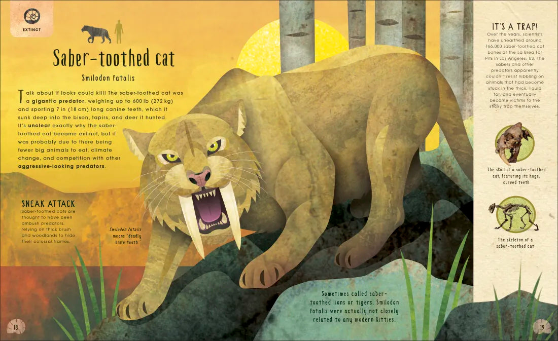 Animals Lost and Found US - Hardback