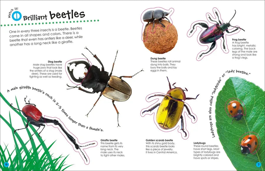 The Ultimate Sticker Book Bugs US - Paperback / softback