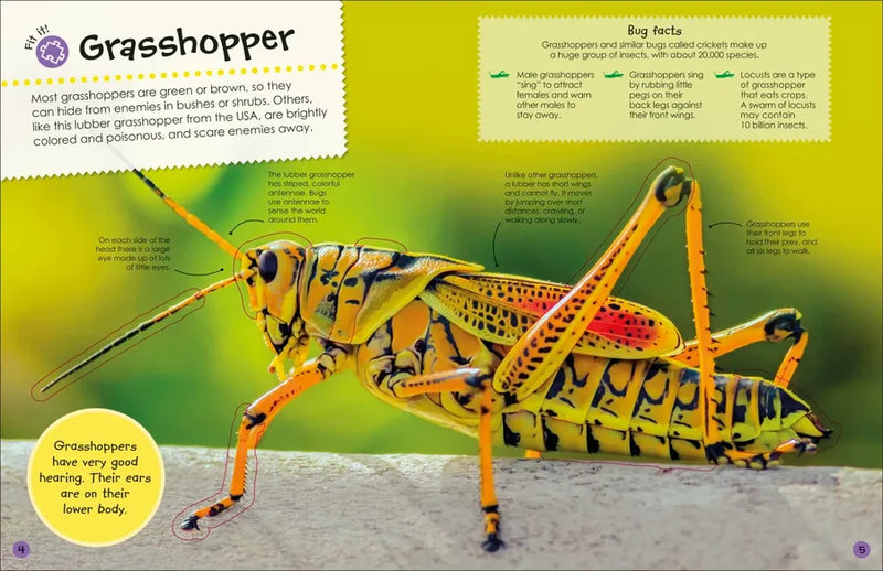 The Ultimate Sticker Book Bugs US - Paperback / softback