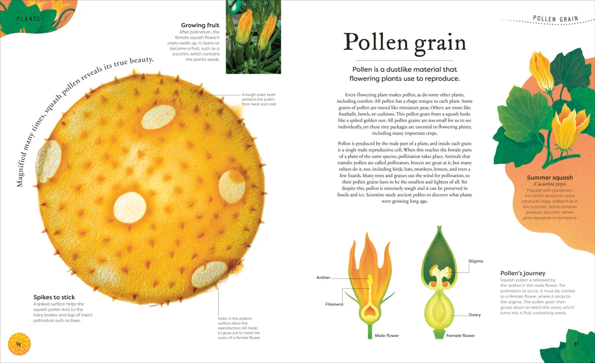 Nature's Treasures US - Hardback