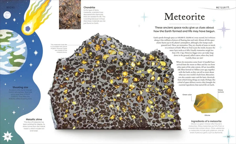 Nature's Treasures US - Hardback