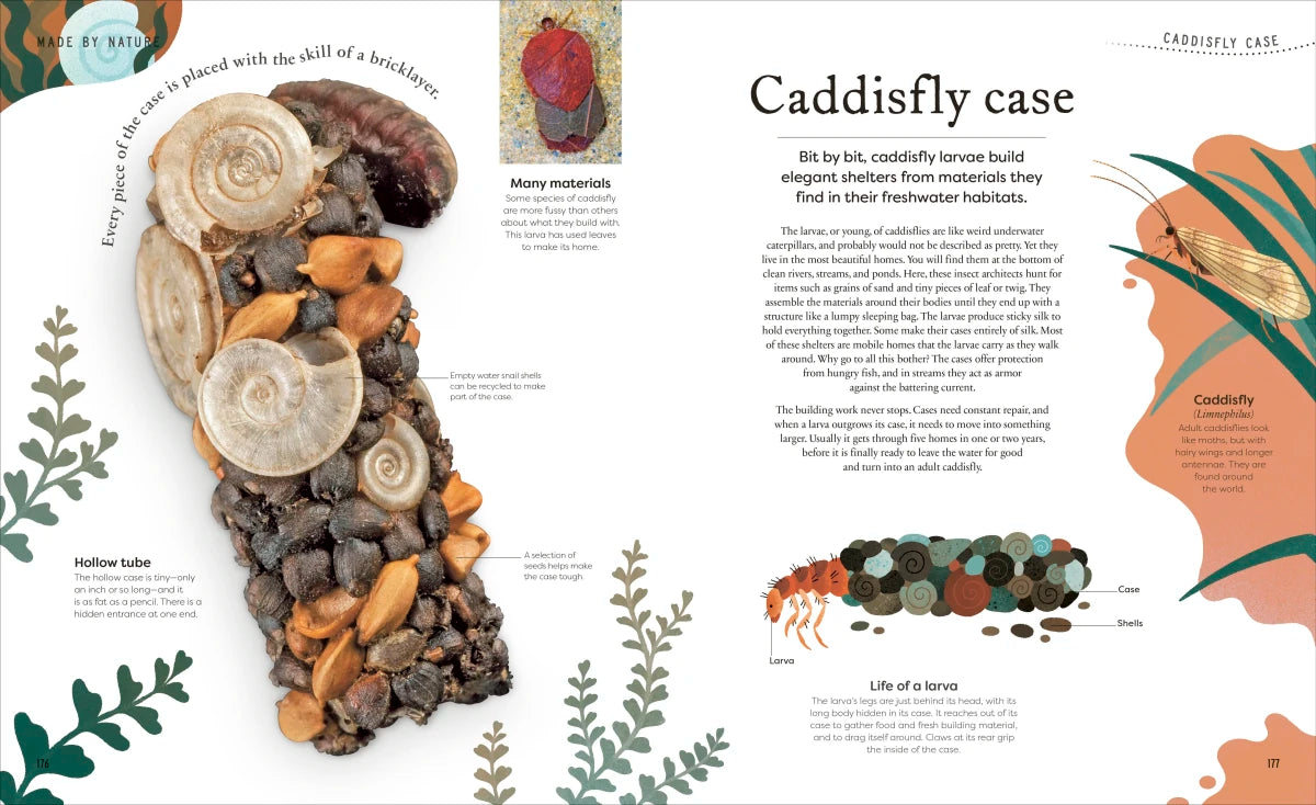 Nature's Treasures US - Hardback