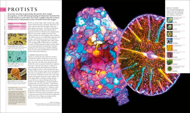 Natural History US - Hardback