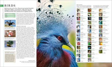 Natural History US - Hardback