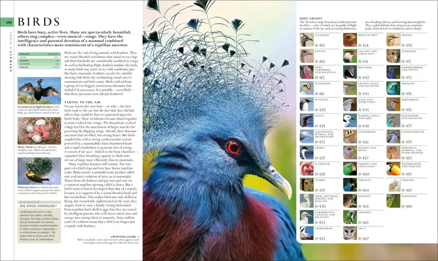 Natural History US - Hardback