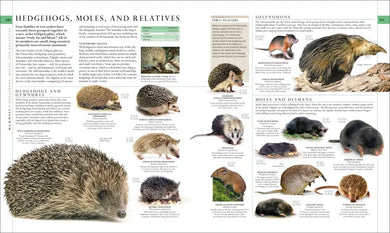 Natural History US - Hardback