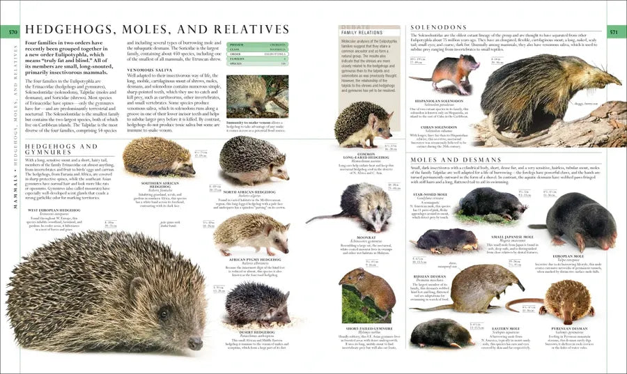 Natural History US - Hardback