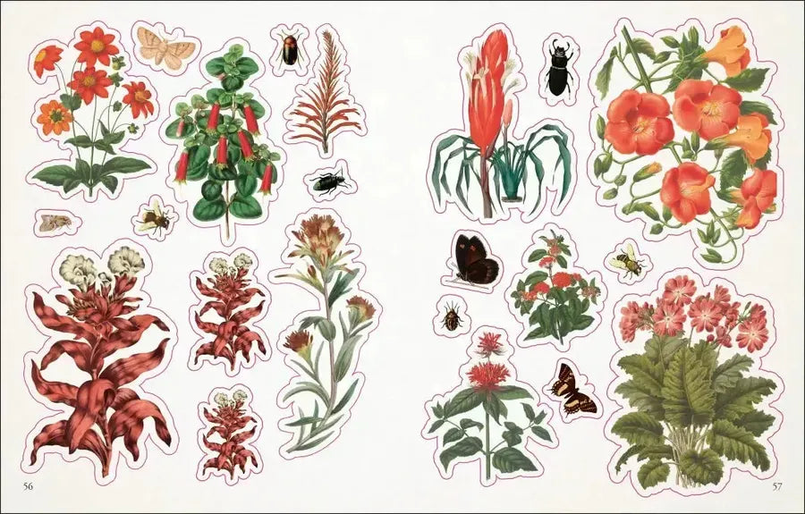 The Botanist's Sticker Anthology US - Hardback