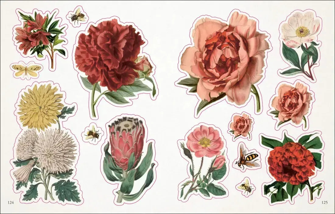 The Botanist's Sticker Anthology US - Hardback
