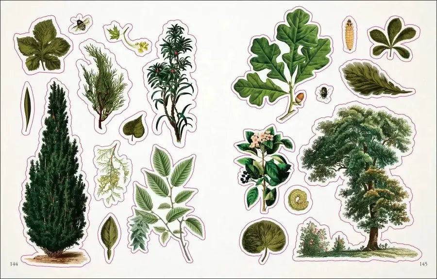 The Botanist's Sticker Anthology US - Hardback