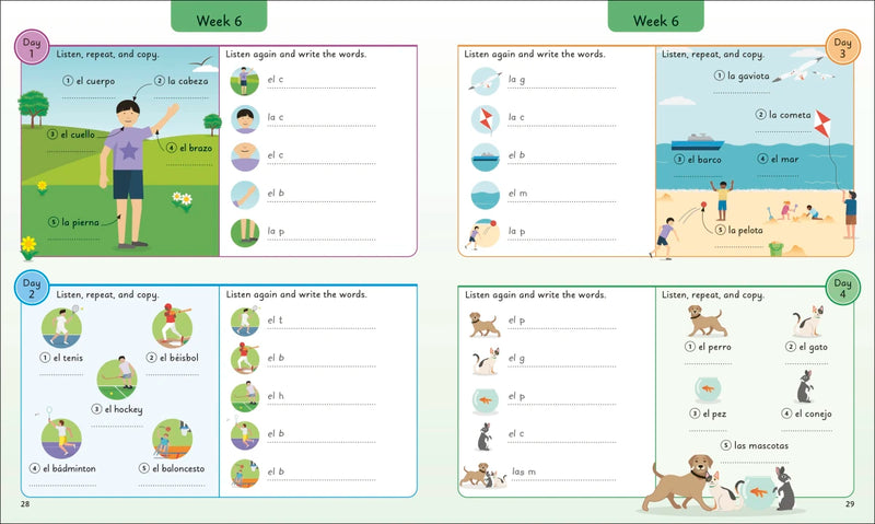 Spanish for Everyone Junior: 5 Words a Day US - Book