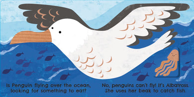 Eco Baby Where Are You Penguin? US - Board book