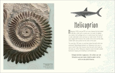 Dinosaurs and Other Prehistoric Life US - Hardback